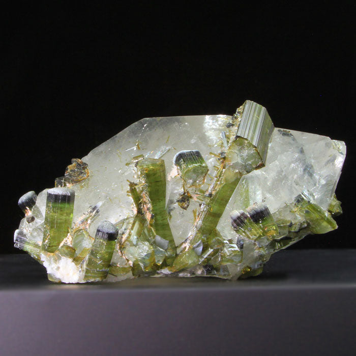 Brazil Tourmaline in Quartz Crystal Specimen
