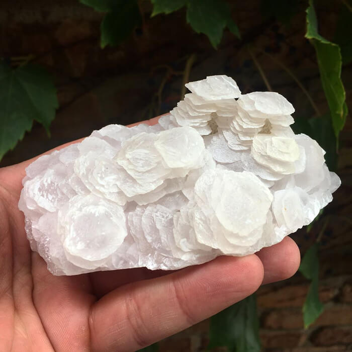 Poker Chip Calcite Mineral Specimen