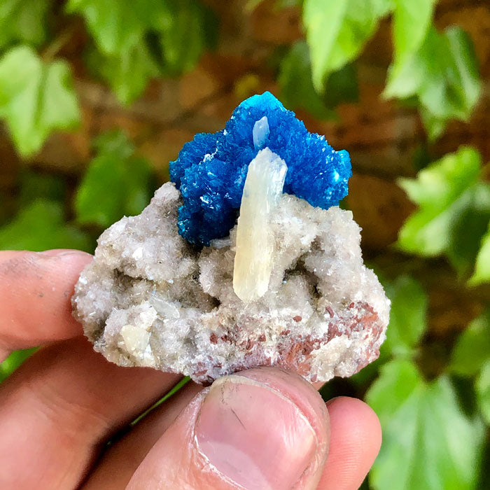 cavansite and stilbite raw crystal specimen from india