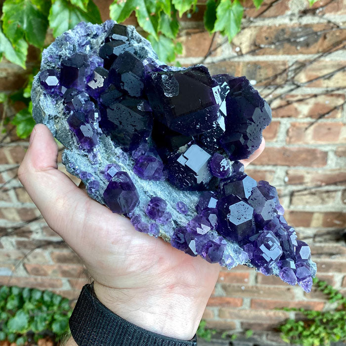 Purple Blue Chinese Tanzanite Fluorite Crystal Specimens