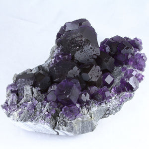 Tanzanite Fluorite from China