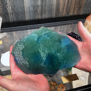 Musiem Quality Blue Green Fluorite Mineral Specimen