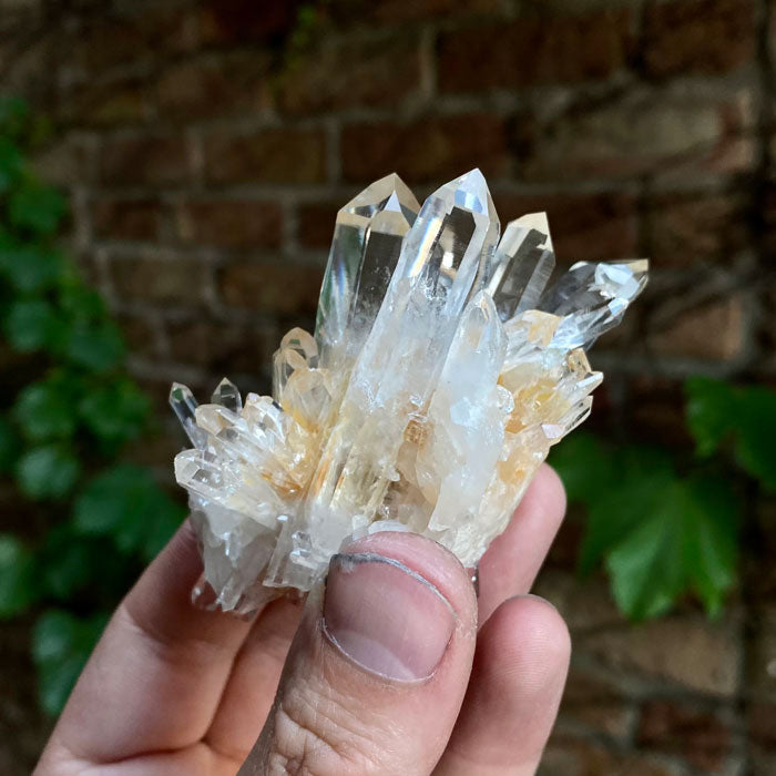 Clear Colombian Quartz Crystal Cluster Specimen