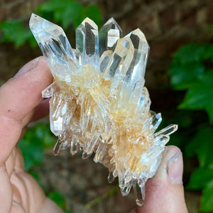 Raw Natural Quartz Crystal Cluster Mineral Specimen Colombia