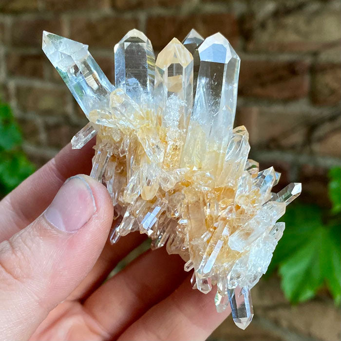 Clear Colombian Quartz Crystal Cluster Specimen