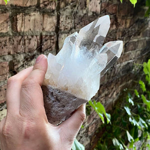 Natural Clear Quartz Crystal Mineral Specimen