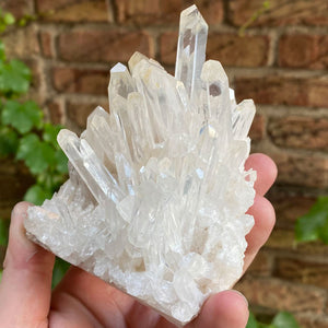 White tip Quartz Crystal Cluster Colombia