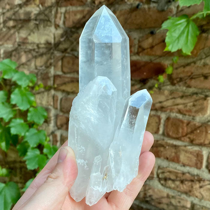 Colombian Clear Quartz Crystal Cluster