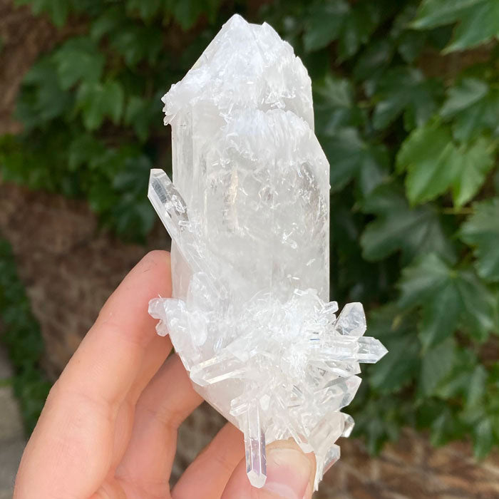 Colombian Quartz Crystal Mineral Specimen