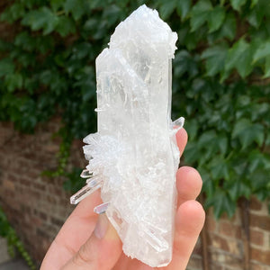 Colombian Quartz Crystal Mineral Specimen
