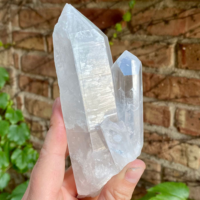 Colombian Quartz Crystals Twin Raw Mineral Specimen