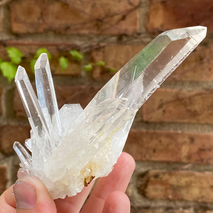 Colombian Quartz Crystals