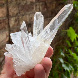 Long Sharp Spikey Quartz Crystals Clear