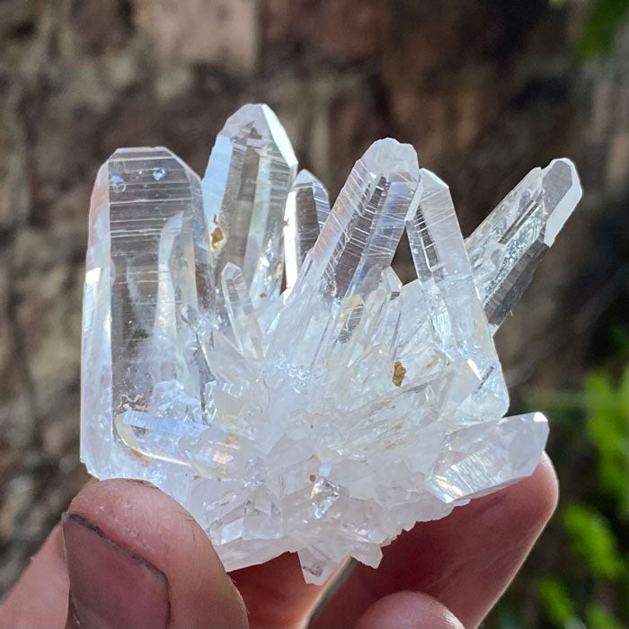 Colombian Quartz Crystal Cluster