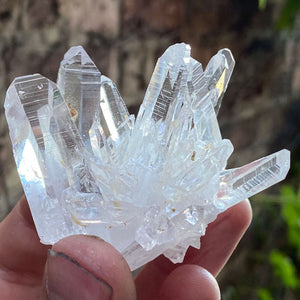 Colombian Quartz Crystal Cluster