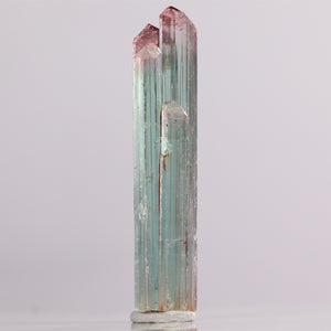 Bicolor Tourmaline Crystal from Tanzania