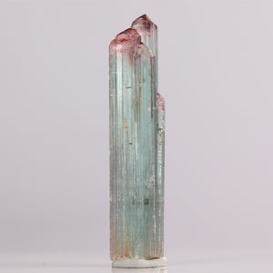 Green Blue Pink Tourmaline Crystal Mineral Specimen