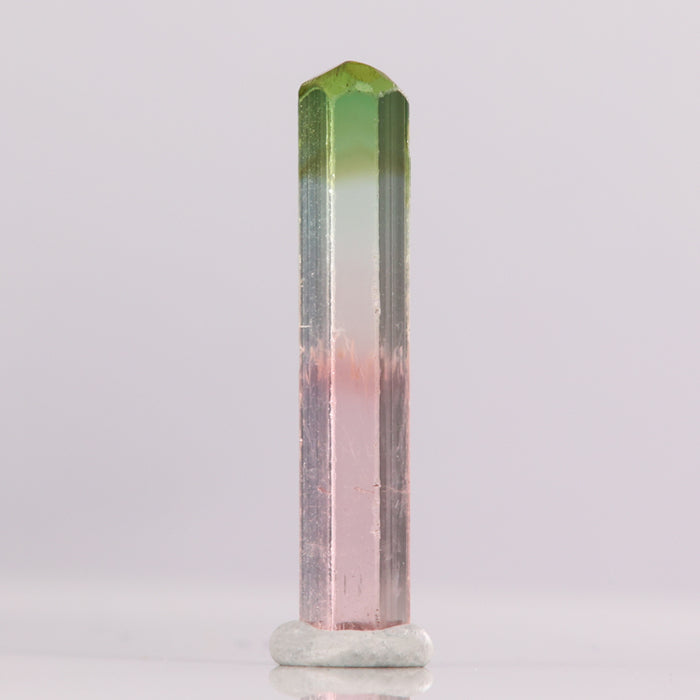 Bright Tricolor Raw Tourmaline Crystal
