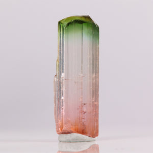 Tricolor Tourmaline Raw Crystal Specimen