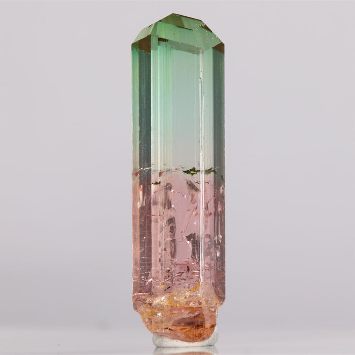 Bicolor Congo Tourmaline Rough Crystal Specimen