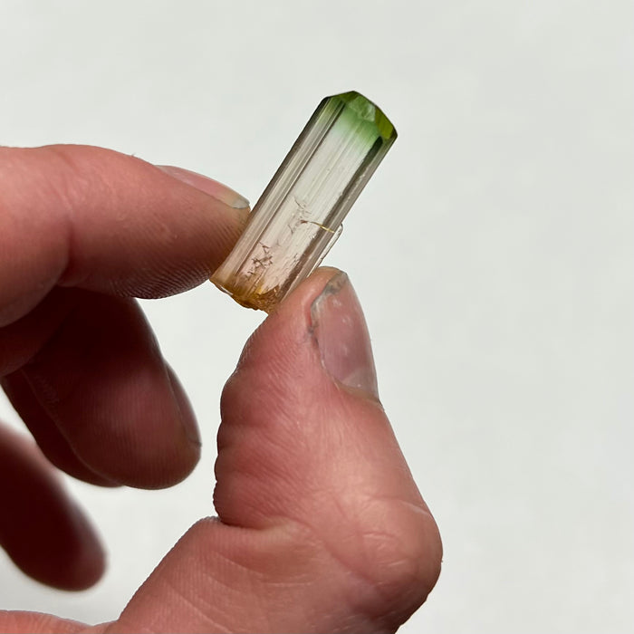 Tricolor Congo Tourmaline Crystal