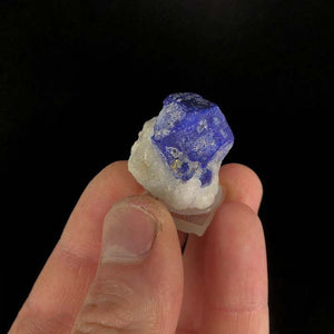 Raw lazurite crystal blue specimen mineral
