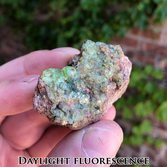 Glow Opal Zacatecas Mexico