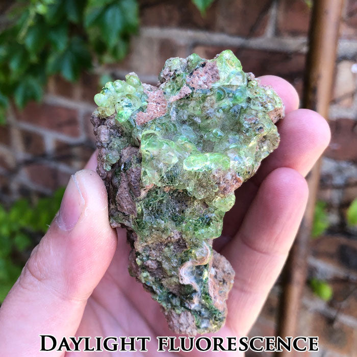 Hyalite Opal from Zacatecas Mexico