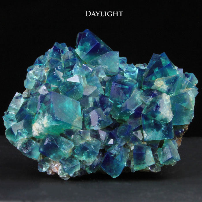 Daylight Fluorescent Fluorite Diana Maria Mine