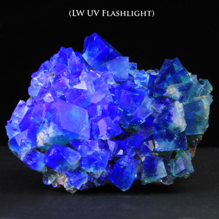 Diana Maria Daylight Fluorescent Fluorite