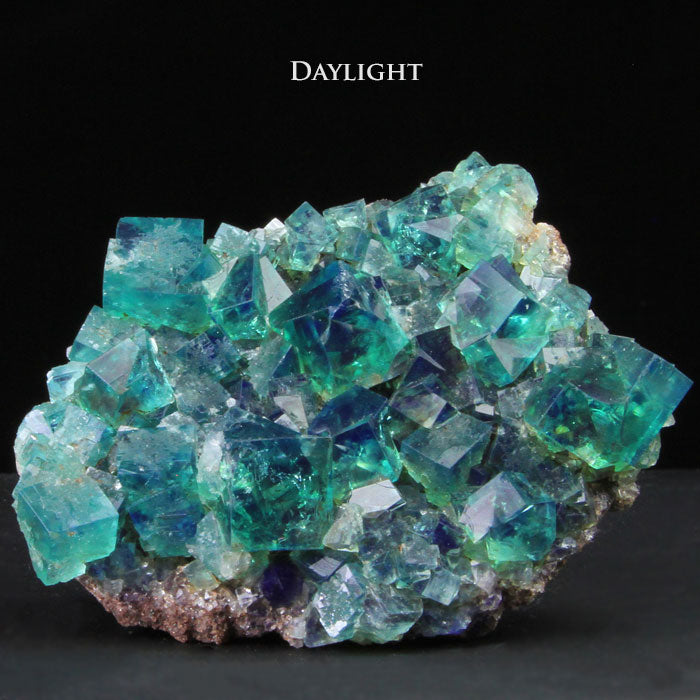 Daylight Fluorescent Fluorite England