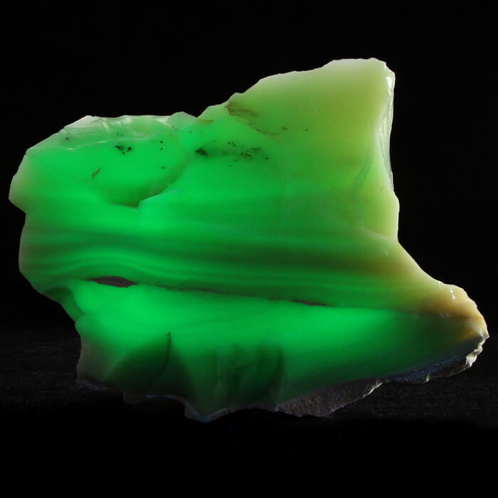 Fluorescent Opal from Virgin Valley Nevada