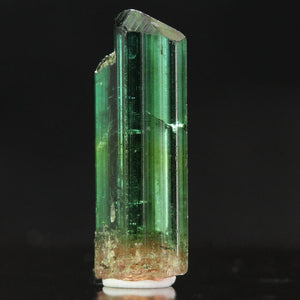 Gemmy Raw Green Tourmaline Crystal