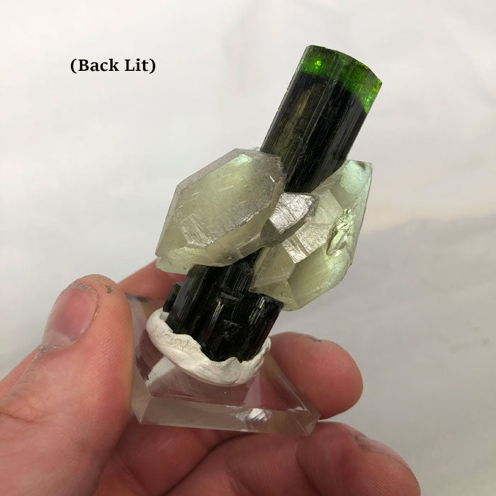 Green Tourmaline though Quartz