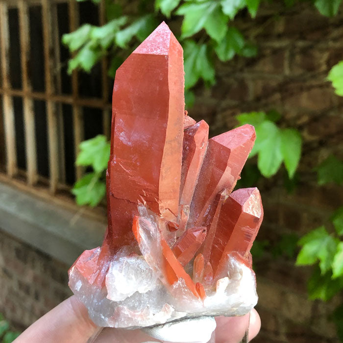 Red Quartz Crystals from Morocco Hematite coated