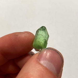 12.76ct Gemmy Green Peridot Crystal
