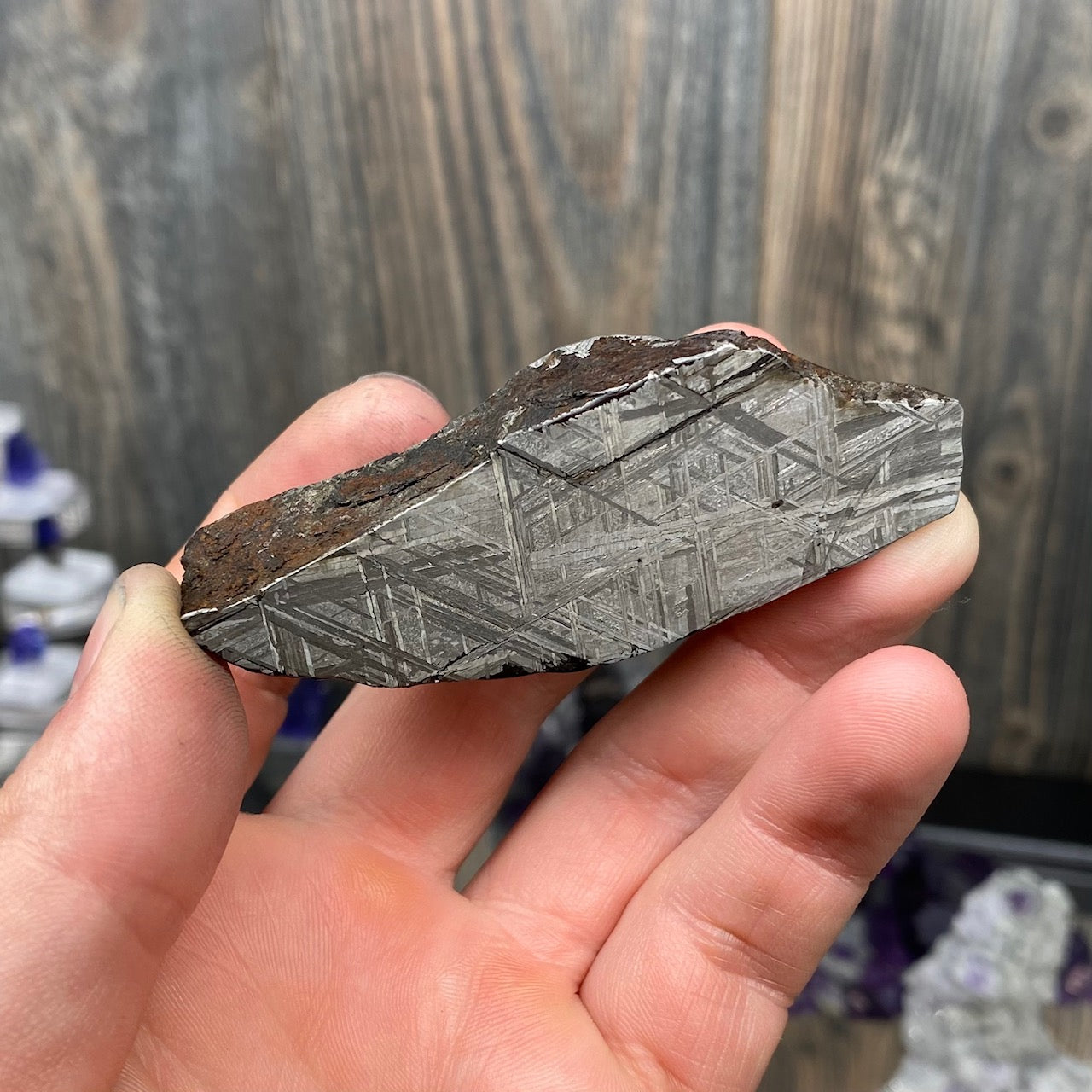Widmanstätten etch pattern Muonionalusta Meteorite