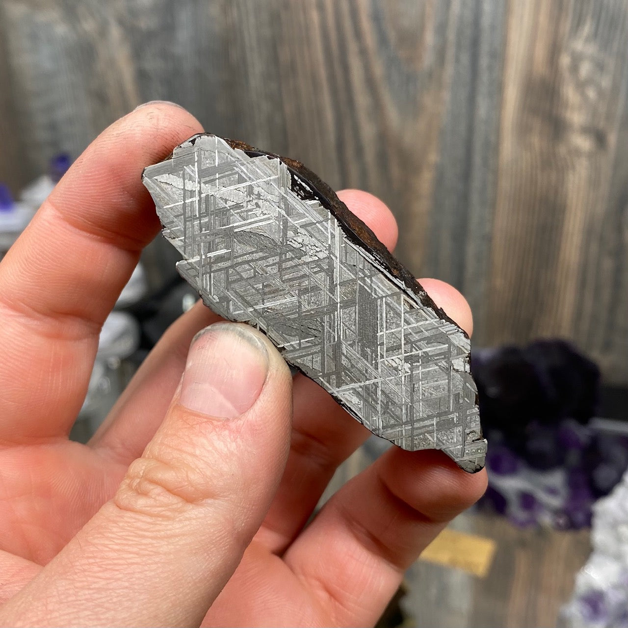 Etched Slice of Muonionalusta Meteorite 