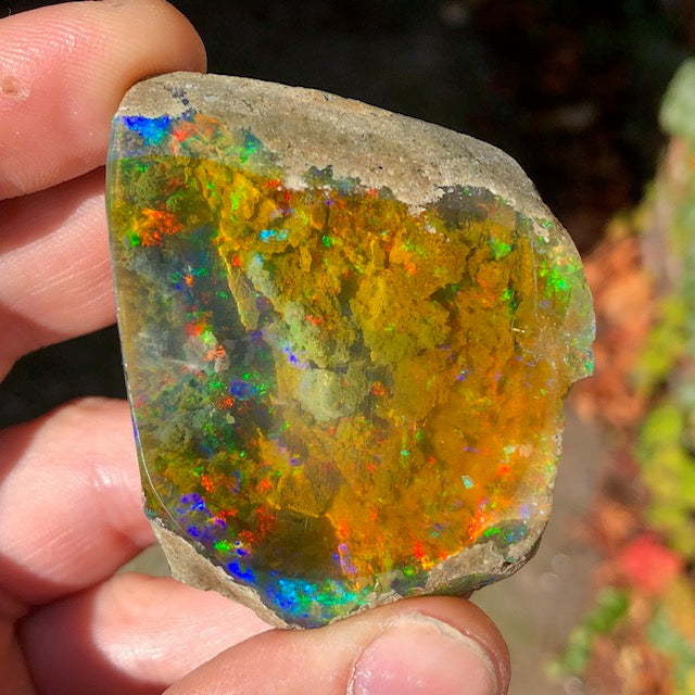 Amazing 384ct Ethiopian Opal