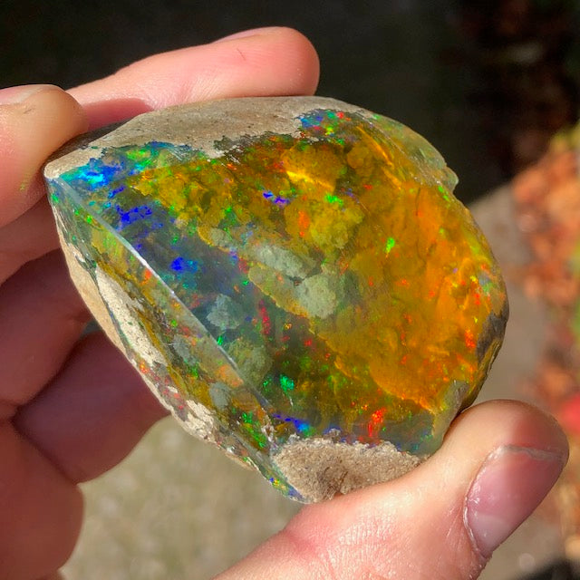 Amazing 384ct Ethiopian Opal