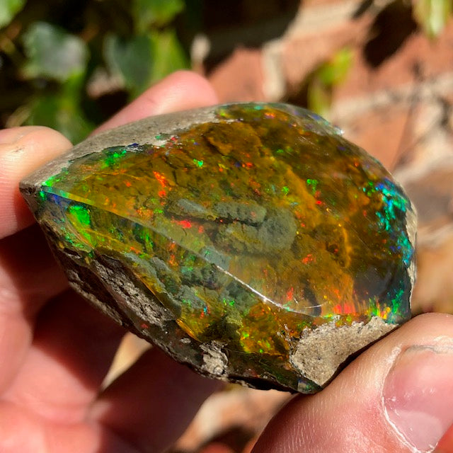 Amazing 384ct Ethiopian Opal