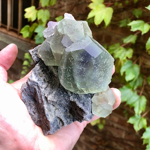 Fluorite on Matrix