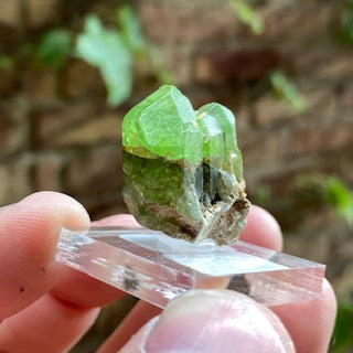 Natural Green Raw Peridot Crystal from Paksitan