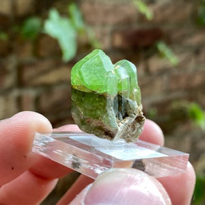 Raw Peridot Crystal Specimen green