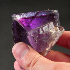 Back lit Illinois Purple Fluorite