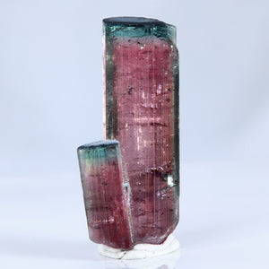 Twin Bicolor tourmaline crystal mineral specimen