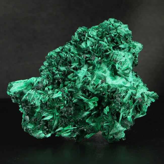 Malachite Mineral Specimen from DR of Congo