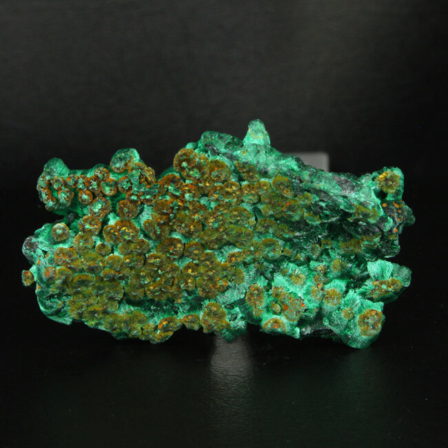 Congo Malachite Mineral Specimen