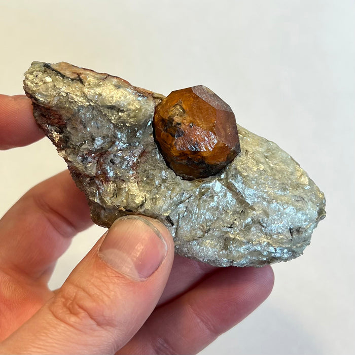 Tanzanian orange spessartite garnet crystal in matrix large