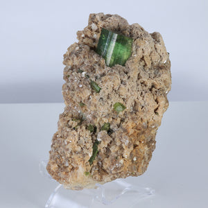 Green Tourmaline on Host Rock Mineral Specimen